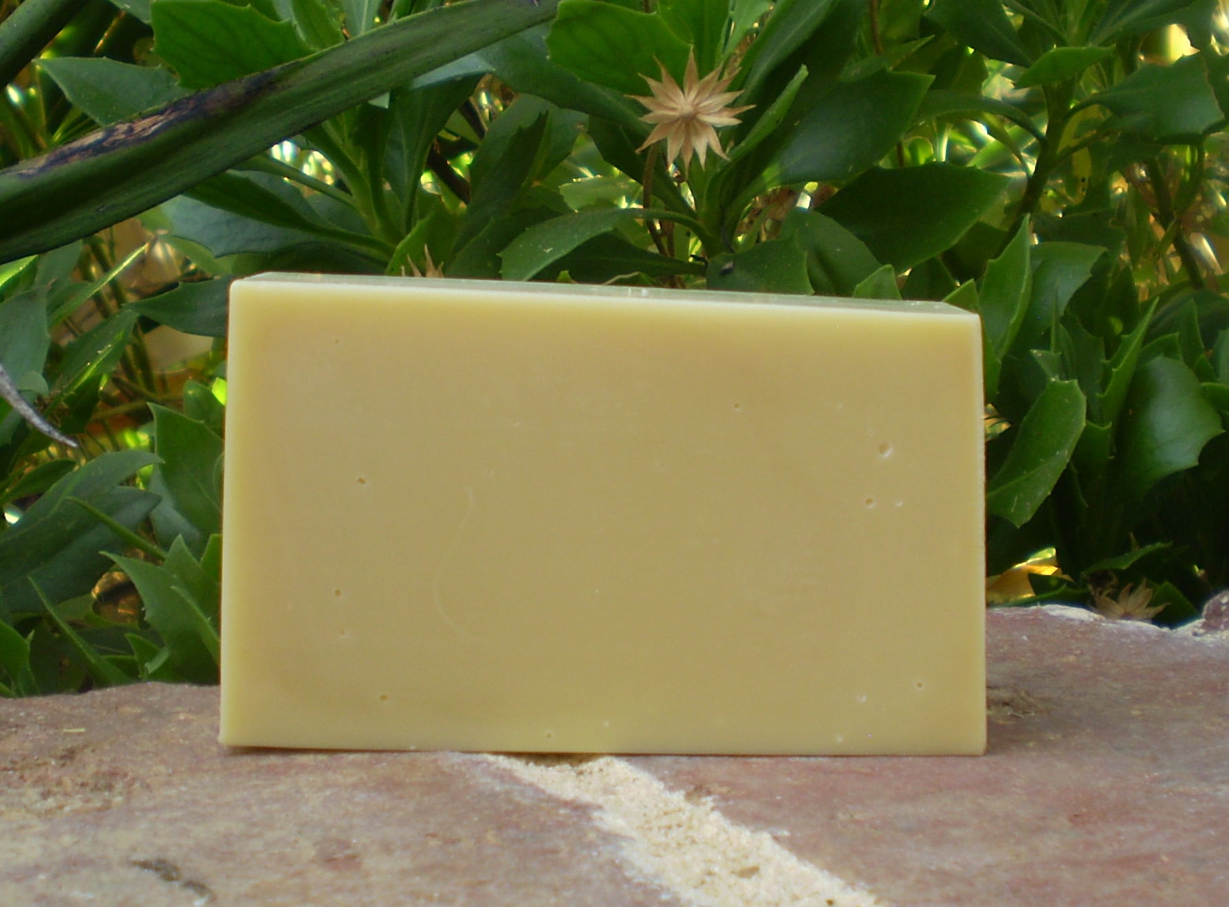 100 Pure Organic Olive Oil Soap 100 Natural